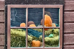 Farm Window Reflection