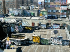 New York Palette
