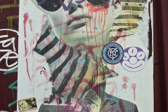 Street Art Portrait Street Art Portrait