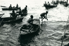 Diving, Haiti Diving, Haiti